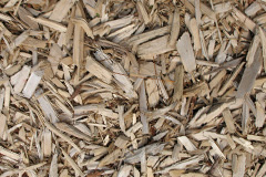 biomass boilers Ibstone